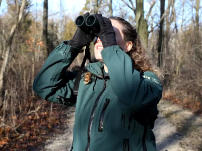 Windsor Weekend Guide: Stargazing, Music, Wine Hikes, and Local Events