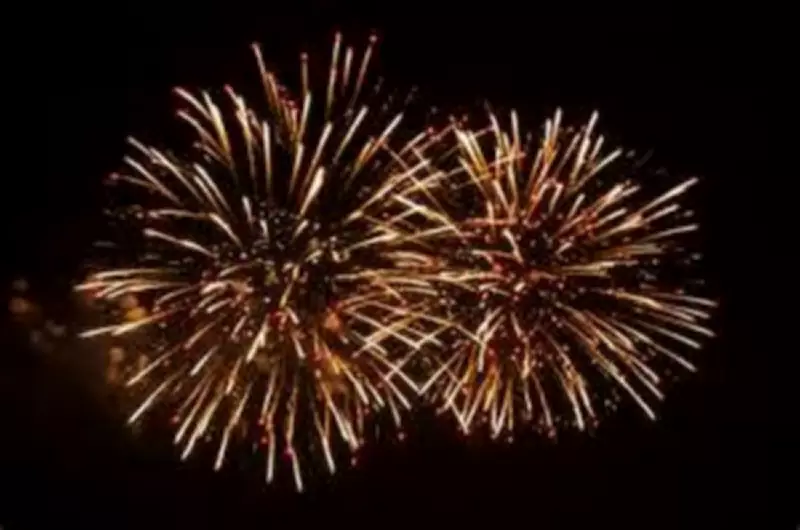 Winnipeg's Fireworks Enforcement Under Scrutiny Amid Doubts Over Effectiveness