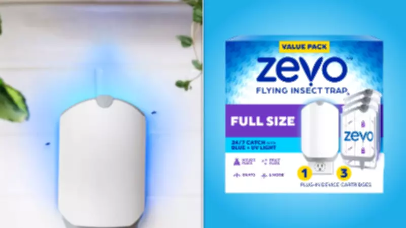 Zevo Insect Trap: A $20 Solution to Conquer Pesky Flying Bugs at Home