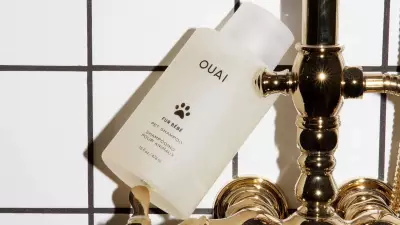 11 Essential At-Home Grooming Products Every Dog Owner Needs