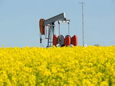 Alberta's Oil and Agriculture Drive Canada's Slowing Economy: Deloitte Report