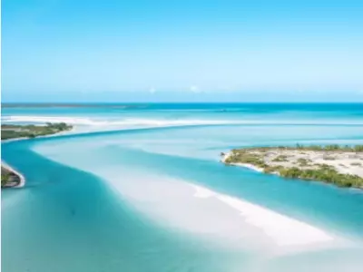 American Woman Missing in Bahamas After Falling from Dinghy During Evening Excursion