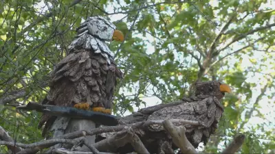 B.C. Father Builds Bird Sculptures to Honor Late Son