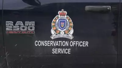 B.C. Hunting Guide Fined $30,000 for Leading Client Outside Designated Area