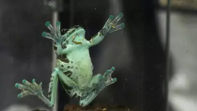 Calgary Reptile Expo Emphasizes Education and Responsible Pet Ownership