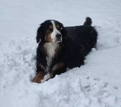Calgary Welcomes Spring with Warmer Weather as Seasonal Shift Arrives