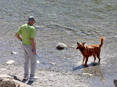 Calgary's Spring Weather Roller Coaster Continues with Snow and Temperature Swings