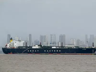 Ceasefire Opens Window to Free 800+ Ships Trapped in Strait of Hormuz