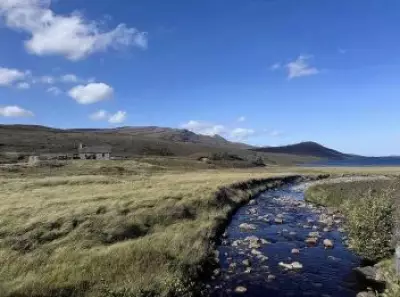 Corporate Leaders Find Renewal Through Nature-Based Professional Retreats