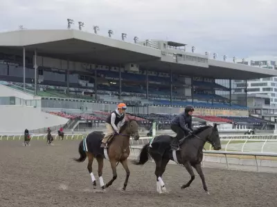 Discover Free Activities in Toronto for the Next Four Weeks