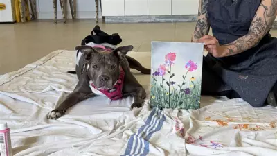 Edmonton Animal Rescue Hosts 'Pawcasso' Art Fundraiser Featuring Canine Artists