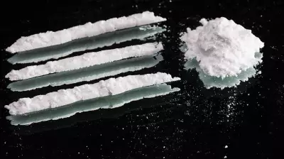 Edmonton Woman Receives Cocaine Shop Flyer in Mail, Questions Data Security