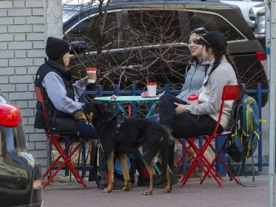 Edmonton's Sky-High Patio Fees Clash with Downtown Revitalization Goals