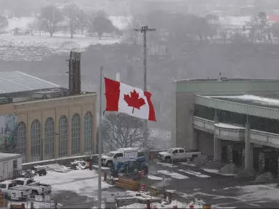 Fewer Americans Moving to Canada Despite 'Donald Dash' Exodus Trend