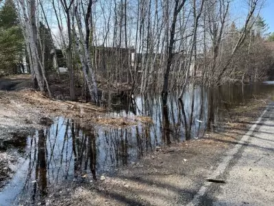 Flood Devastation Persists Across Muskoka Region, Hundreds of Buildings Affected