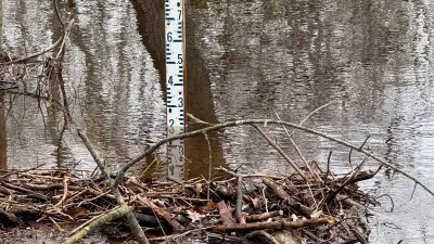 Flood Watch Issued for Mississippi River Watershed Amid Rising Water Levels