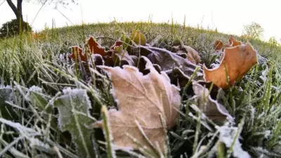 Frost Advisory Issued as Temperatures Near Freezing Tonight
