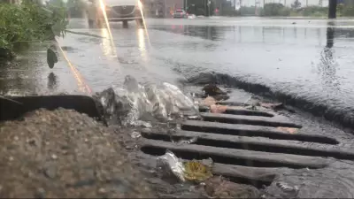Halifax-Area Residents Told to Clear Storm Drains Ahead of Heavy Rain