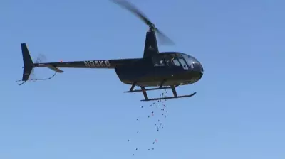 Helicopter Drops 6,000 Easter Eggs for Colorado Church Egg Hunt