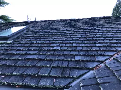 Houseworks: Roof and Deck Maintenance Tips from Handyman Steve Maxwell