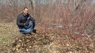 How to Prepare Your Yard for Wildfire Season This Spring