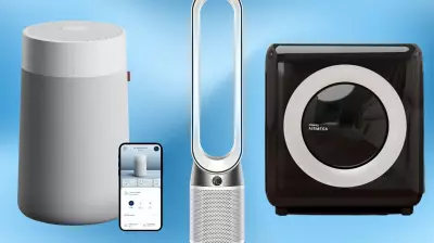 Indoor Air Quality Crisis: Top Air Purifiers for Allergy and Asthma Relief