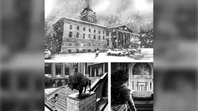 Kristin Kreuk's Winnipeg Comic 'Black Star' Inspired by Manitoba Filming