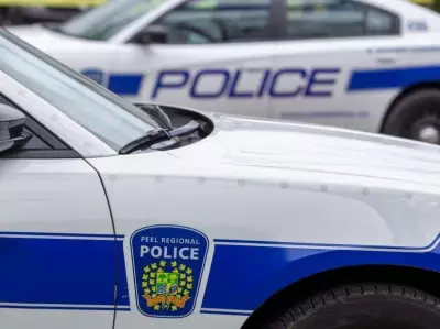Male Arrested After Teen Stabbed Near Brampton School; Suspect Sought in Greektown Break-Ins