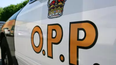 Man Charged After Knocking on Doors While Carrying Knife in Carleton Place