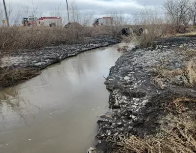 Manitoba RCMP and Firefighters Rescue Child from Creek Near Winkler