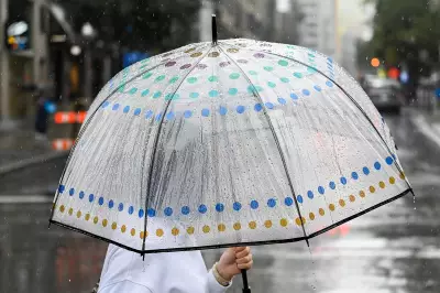 Maritimes Braces for Persistent April Showers and Wet Weather This Week