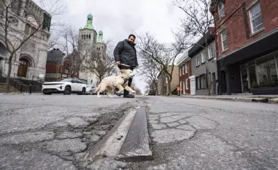 Montreal's Forgotten Streetcar Tracks Resurface Each Spring, Revealing Transit History