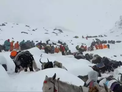 Mount Everest Insurance Scandal: $20-Million Fraud Involving Staged Rescues Exposed