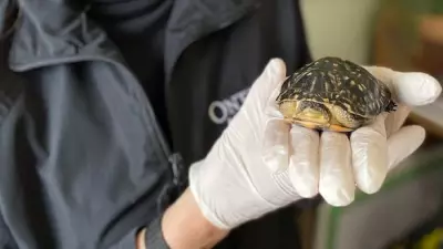 Northern Ontario Wildlife Centre Launches Online Auction for Critical Support