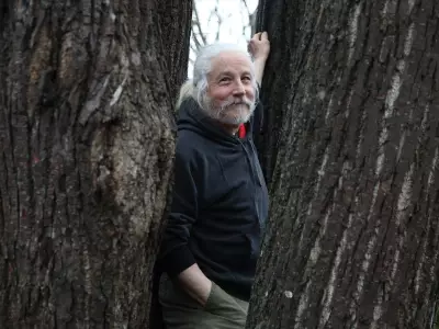 Ottawa Elm Tree Felled for LRT Gets New Life as Library Coffee Table