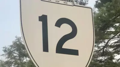 Police Search for Driver Who Fled After Striking Youth Pedestrian