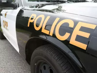 Quebec Man, 49, Arrested After Ramming OPP Cruisers on Highway 401