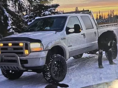 RCMP Seek Help Finding Stolen Truck with Two Peacocks Inside