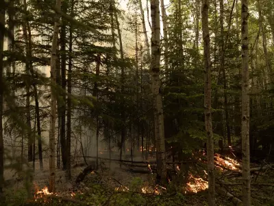 Saskatchewan Boosts Wildfire Readiness with Enhanced Resources for 2026 Season