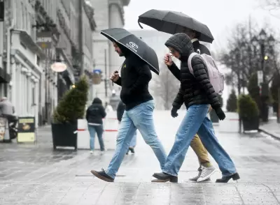 Spring Arrives, But Winter Lingers: When Will Nature Catch Up?