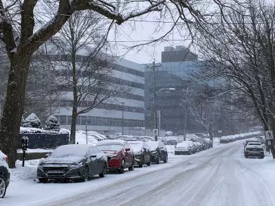 Spring Snowfall Expected in Nova Scotia Tuesday Evening and Night