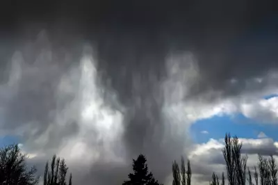 Spring Weather to Return to Calgary After Chilly Weekend