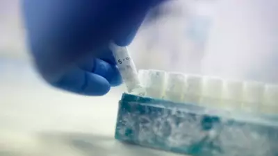 Summer Sperm Quality Peak: Expert Insights on Seasonal Fertility Factors