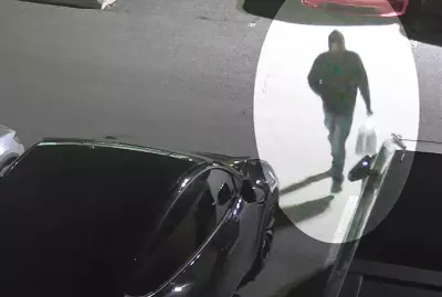 Suspect Sought After Five Tesla Vehicles Torched in Vaughan Arson