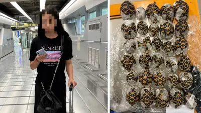 Teen Arrested at Thai Airport for Smuggling 30 Tortoises Under Clothes