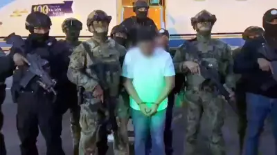 Top Mexican Cartel Leader 'El Jardinero' Arrested with Money Launderer