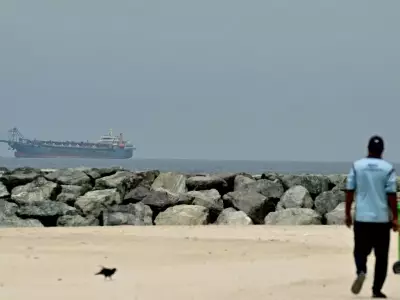 Trump Declares Strait of Hormuz Fully Open for Maritime Traffic