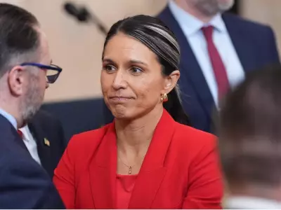 Tulsi Gabbard Sends Criminal Referrals for Trump Whistleblowers to Justice Department