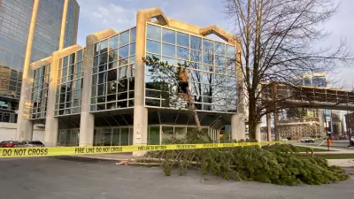 Unmanned Halifax Transit Bus Crashes into Tree, Damaging Downtown Building