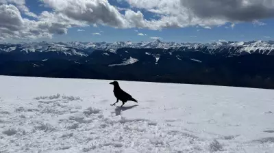 Warm, Sunny Skies Forecast for Calgary Ahead of the Weekend